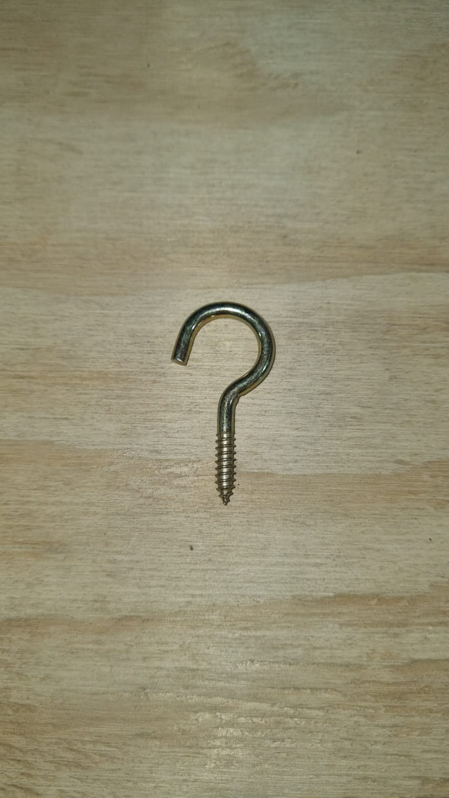 Cancamo Abierto #4